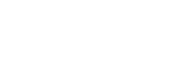 展示内容