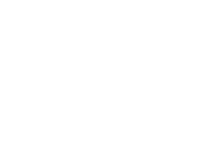 공지사항